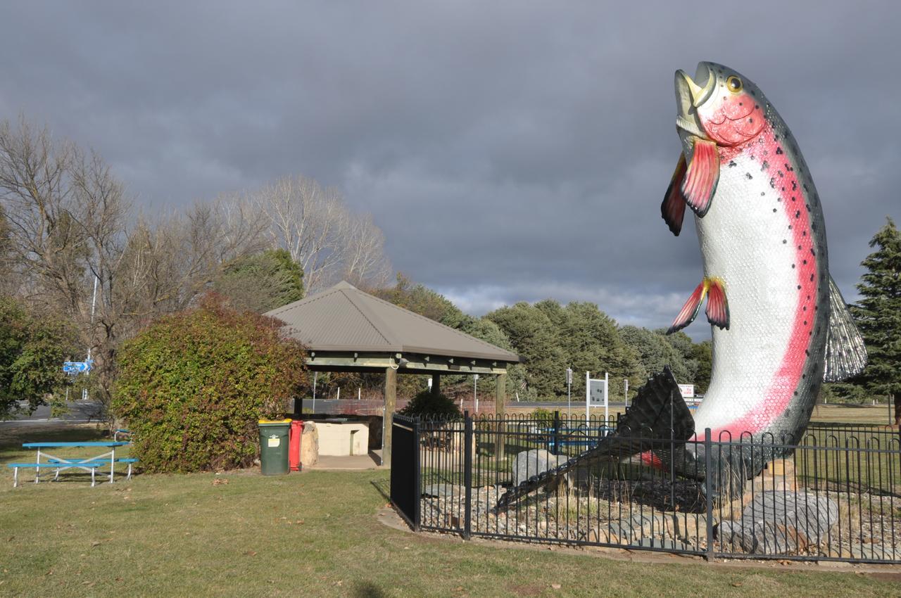 Selwyn Star Lodge Adaminaby Exterior photo